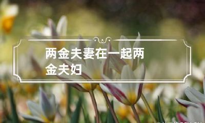 两金夫妻在一起 两金夫妇