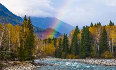 属狗的人可以在2020年小雪节气这天结婚吗？