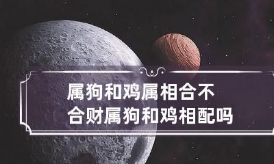 属狗和鸡属相合不合财 属狗和鸡相配吗?