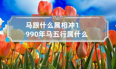 马跟什么属相冲 1990年马五行属什么命