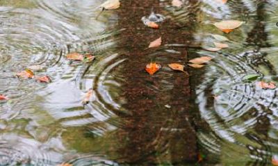 冬至是第几个节气？冬至过后还会冷吗？