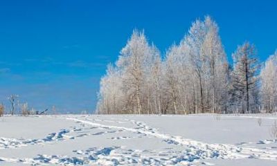 小雪节气吃什么食物好？小雪节气养生要注意什么？