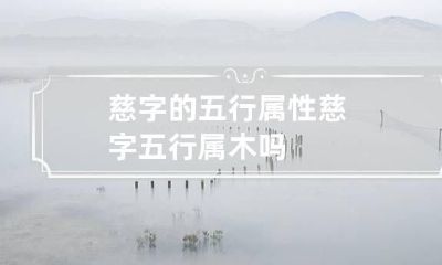 慈字的五行属性 慈字五行属木吗