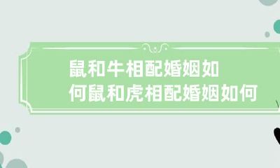 鼠和牛相配婚姻如何 鼠和虎相配婚姻如何