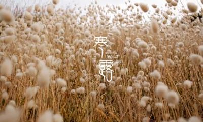 2020年冬至后是什么节气？冬至大如年是什么意思？