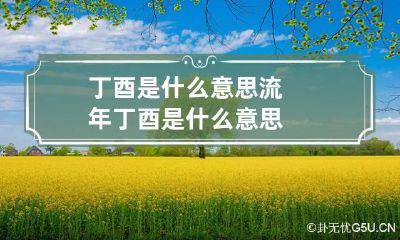 丁酉是什么意思 流年丁酉是什么意思