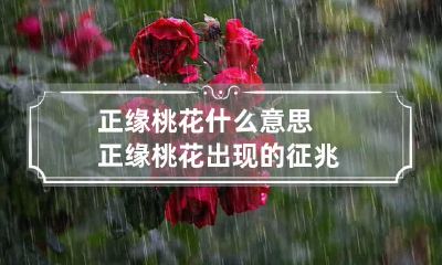 正缘桃花什么意思 正缘桃花出现的征兆