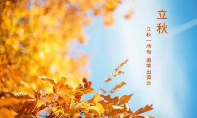 属虎人出生在处暑节气命运解析！