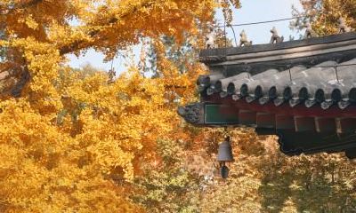 2020年小雪节气日子好不好？小雪节气诗句有哪些？