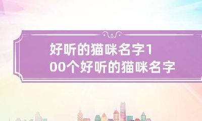 好听的猫咪名字100个 好听的猫咪名字大全