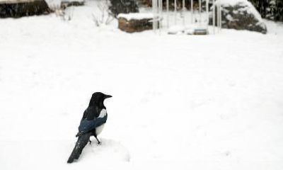 2020年小雪日子好吗？2020年小雪过后冷吗？