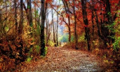 立冬之前都是秋天吗？立冬吃什么传统食品？