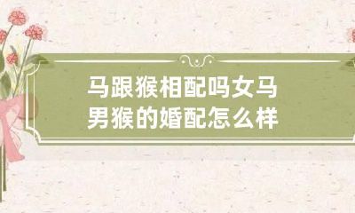 马跟猴相配吗 女马男猴的婚配怎么样