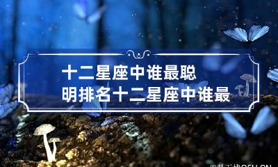 十二星座中谁最聪明排名 十二星座中谁最聪明排名第一名