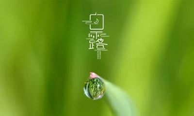 大雪是第几个节气？大雪和大寒哪个更冷？