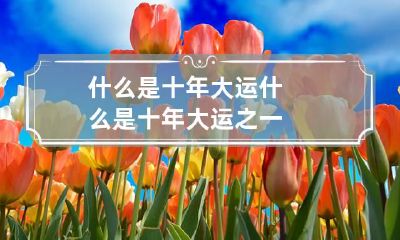 什么是十年大运 什么是十年大运之一