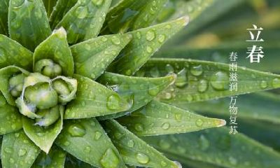 立冬是什么季节的节气？立冬节气含义是什么？