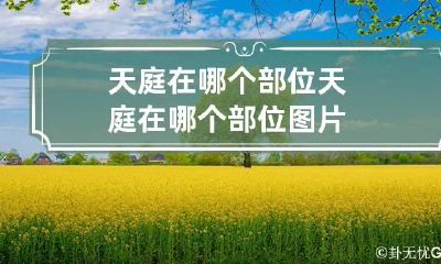 天庭在哪个部位 天庭在哪个部位图片