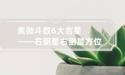 紫微斗数6大吉星——右弼星 右弼星方位