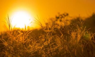 2020年大雪节气能安葬吗？可以下葬办丧事吗？