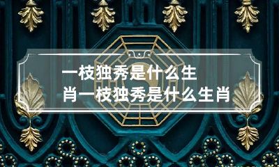 一枝独秀是什么生肖 一枝独秀是什么生肖呢