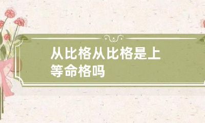从比格 从比格是上等命格吗