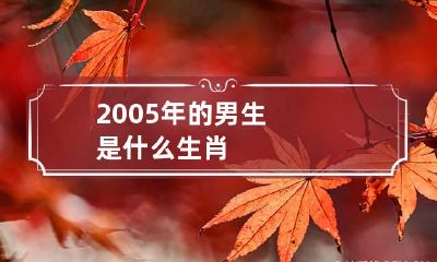 2005年的男生是什么生肖