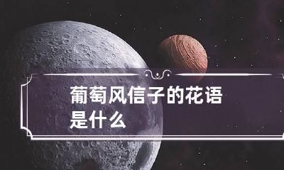 葡萄风信子的花语是什么?