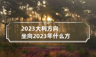 2023大利方向坐向 2023年什么方向是大利