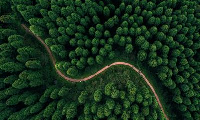 属鼠人2023年生肖流年图 上半年桃花运好