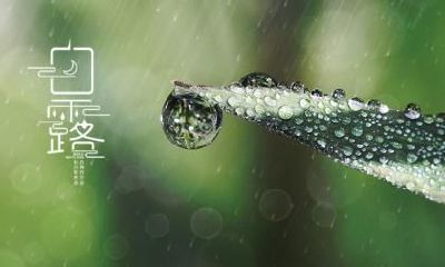 白露是什么节气？白露有什么谚语民谚？