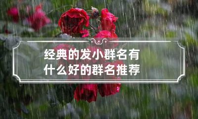 经典的发小群名 有什么好的群名推荐