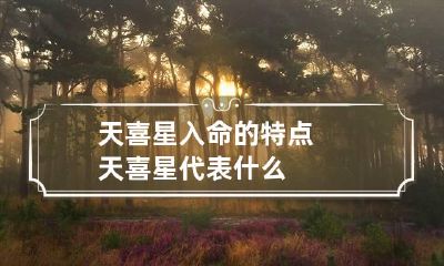 天喜星入命的特点 天喜星代表什么