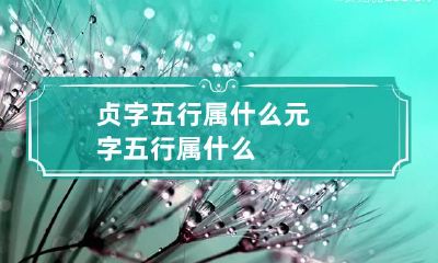 贞字五行属什么 元字五行属什么