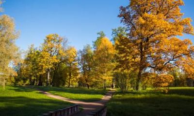 秋老虎是立秋后吗？立秋贴秋膘怎么贴不会胖？