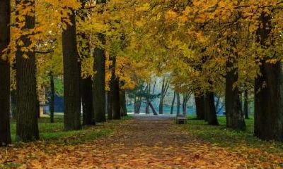 立秋下雨好还是不下雨好？立秋时节下雨好吗？