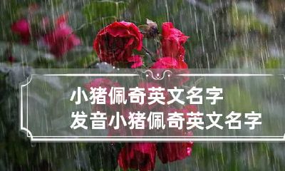 小猪佩奇英文名字发音 小猪佩奇英文名字怎么写