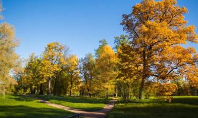 关于立秋的谚语、古诗词分享