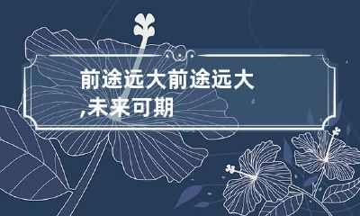 前途远大 前途远大,未来可期