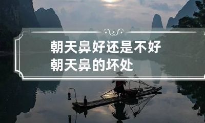 朝天鼻好还是不好 朝天鼻的坏处