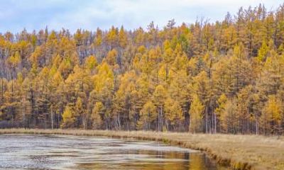 立秋是什么意思？立秋有什么民俗活动？