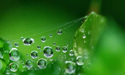 2020年七月二十白露的日子好不好？白露这天订婚吉利吗？