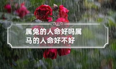 属兔的人命好吗 属马的人命好不好