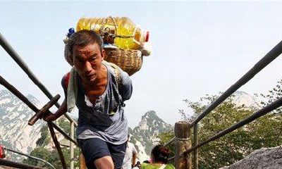 哪些生肖一辈子辛苦求财