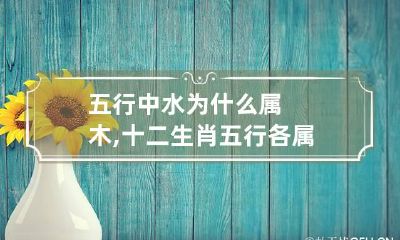 五行中水为什么属木,十二生肖五行各属什么命