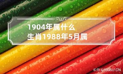 1904年属什么生肖 1988年5月属龙的是什么命