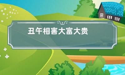 丑午相害大富大贵