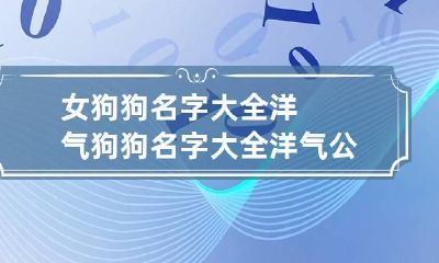 女狗狗名字大全洋气 狗狗名字大全洋气公