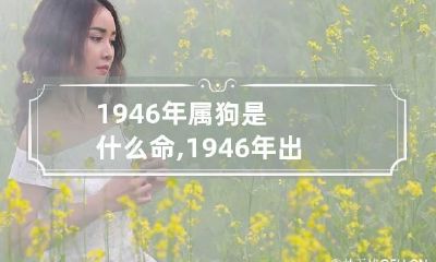 1946年属狗是什么命,1946年出生人的命运