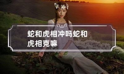 蛇和虎相冲吗 蛇和虎相克嘛